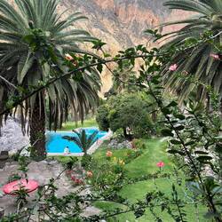 Arrived at the oasis where we spend the night