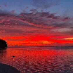 Was für eine Show....