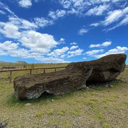 Nur nicht den Kopf in den Sand stecken 😃
