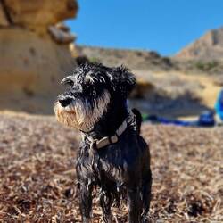 Das Wasser ist toll❣️