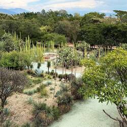 Der ethnobotanische Garten