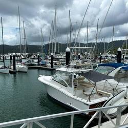 The marina