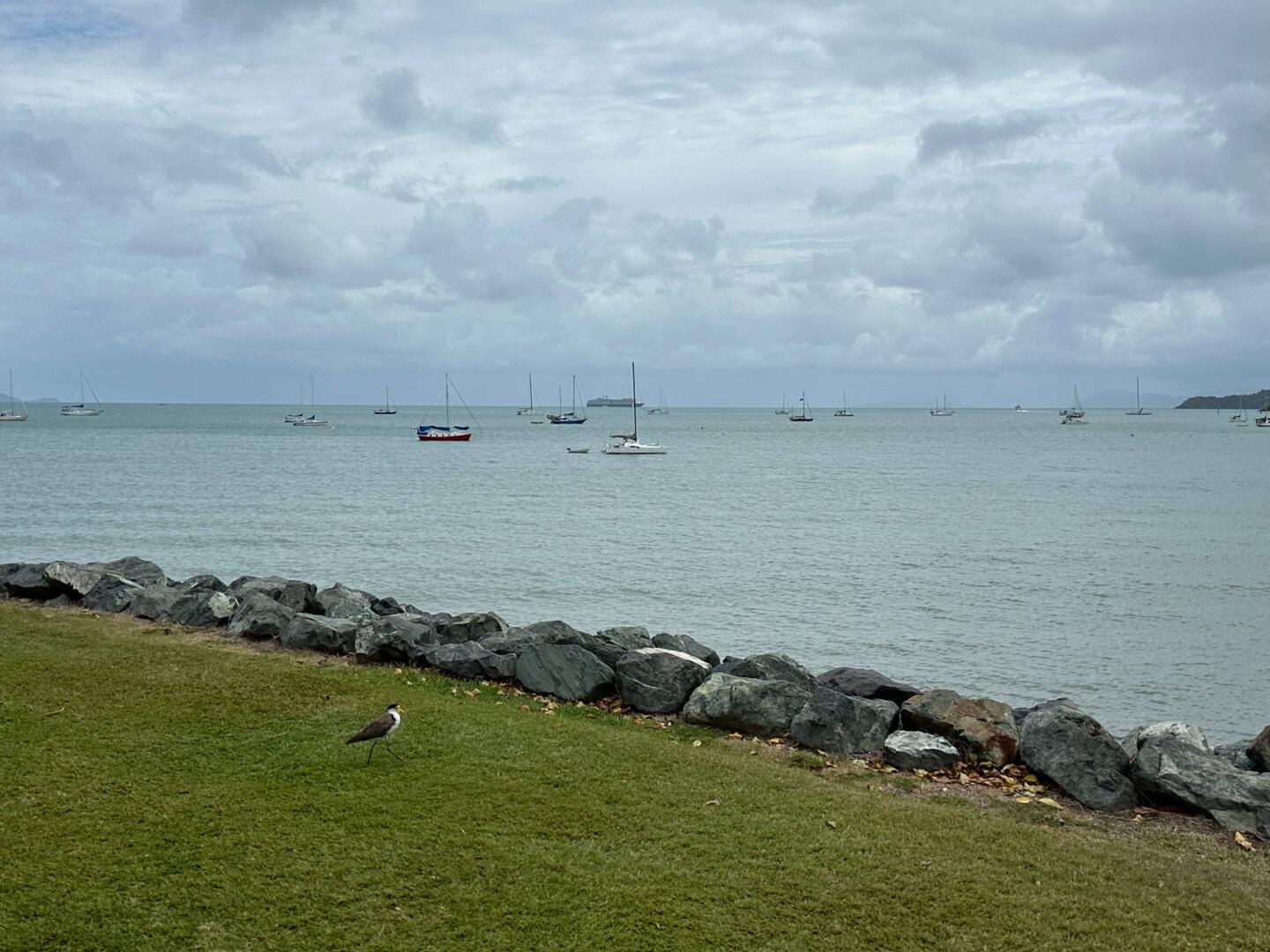Our ship in the distance