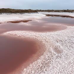 Dunaliella saline - das ist die Rotalge, die für das nette Rosa an der Oberfläche sorgt