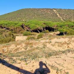 Der 140 Meter Hügel mitsamt dem Turm sind auch nur eine Düne