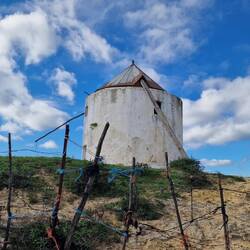 Kunstvoller Verhau vor der Mühle