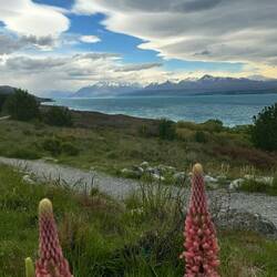 Lake Pukaki
