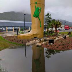 Golden Gumboot