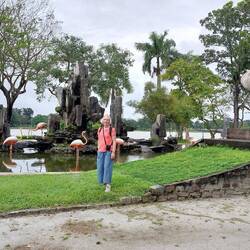 Statue and flamingos (also statues)
