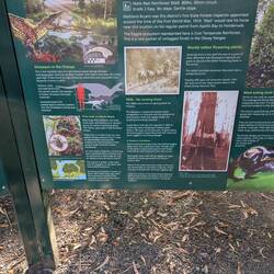 Maits Rest Rainforest Walk
