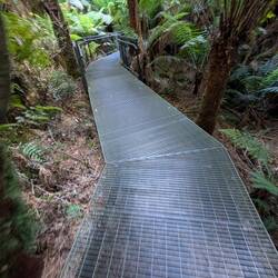Quite a bit of the walkway. It was on stainless steel grates quite impressive