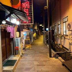 Hint at what tokyo might be like?