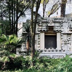 museo de anthropología