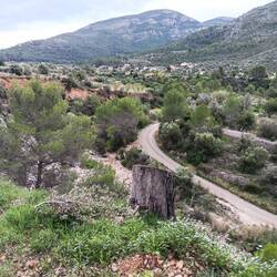 Entlang der Rambla