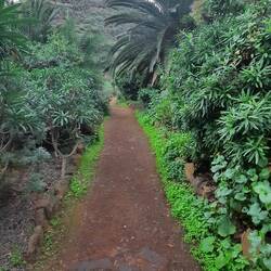 Bedeckt, aber kein Regrn mehr