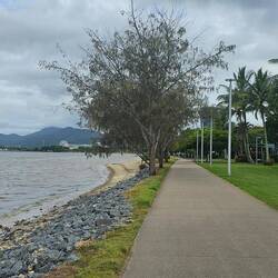 Boardwalk towards the harbor