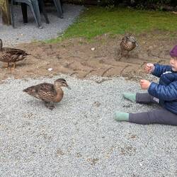 Die Tiere sind alle an Menschen gewöhnt und sind uns auch ohne dass wir Futter hatten nachgelaufen.