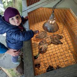 Jule wäre am liebsten rein geklettert.