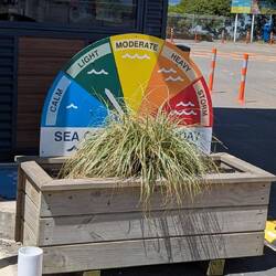 Das ließ auf eine ruhige Überfahrt hoffen. Die Cook Strait ist berüchtigt.