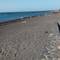 This pic was meant to demonstrate black beach-looks grey.