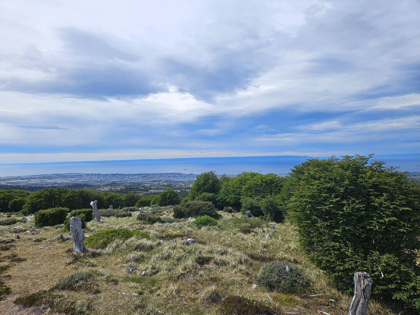 Im Nationalpark "Reserva Nacional Magallanes"