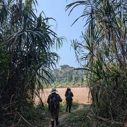 Hiking through the jungle to the ox-bow lake