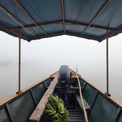 A foggy start on the river