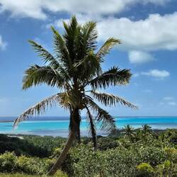 Auf den Bildern kommt dieses Naturschauspiel gar nicht richtig zur Geltung