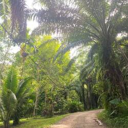 Welcome to the Jungle!