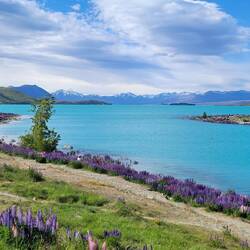 Lake Tekapo...