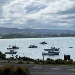 Moeraki Harbour