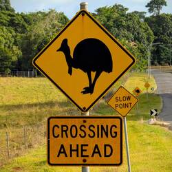 Auf der Suche nach dem K.