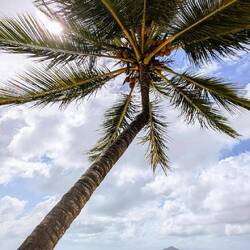 Noch kurz zurück zum Mission Beach