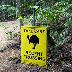 ....und wieder nichts gesehen