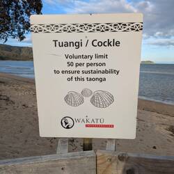 Wir haben ebenfalls Muscheln bei aufkommender Ebbe gefunden. Diese aber wieder frei gelassen