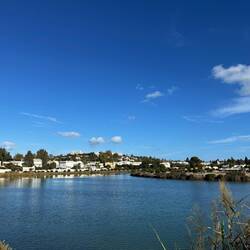 The Port of Carthage