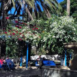 Chillin' Out in the Park at Sidi Bou Said