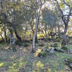 Nuraghe Tuturuddu - viele Steine😇