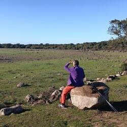 ...unendliche Weite...