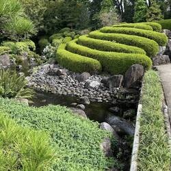 Love Japanese gardens for all their contrasts and form.
