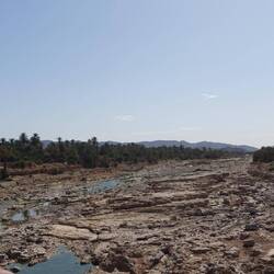 Der Oued de Tata - umgeben von Dattelpalmen