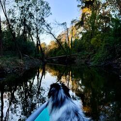 Then kayaked as far as we could go upstream