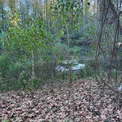 We climbed the mud bank. It wasn't bad.