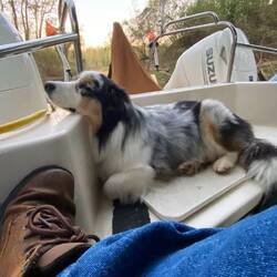 Until next time 💤