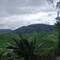 Cameron Highlands