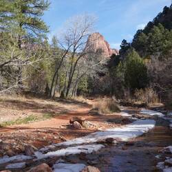 Hier im Tal gibt es schon einige Eisige Stellen.