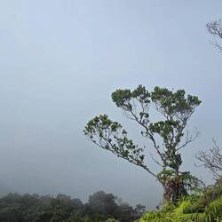 Supii... das isch d Ussicht zoberst gsi -.-