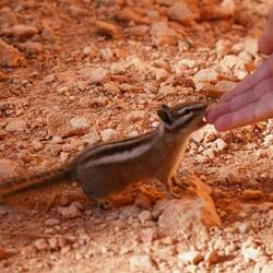 Mal Testen ob Bigna`s Finger Essbar ist.