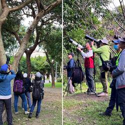 Die haben einen Vogel.... vor der Linse