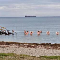 Danish cold plunging